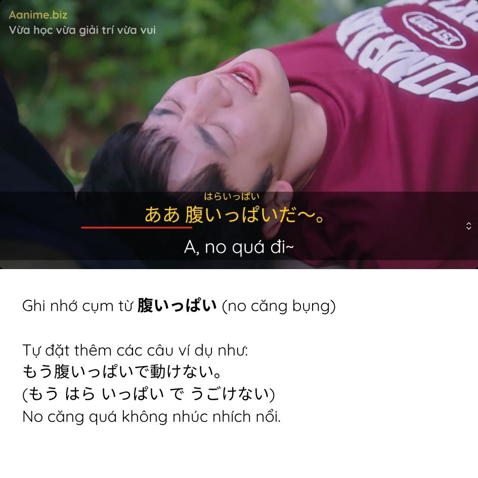 Aanime.biz là gì, Aanime.biz dùng để làm gì, Aanime là gì, Aanime học tiếng Nhật, Nền tảng Aanime.biz, Web học tiếng Nhật Aanime
