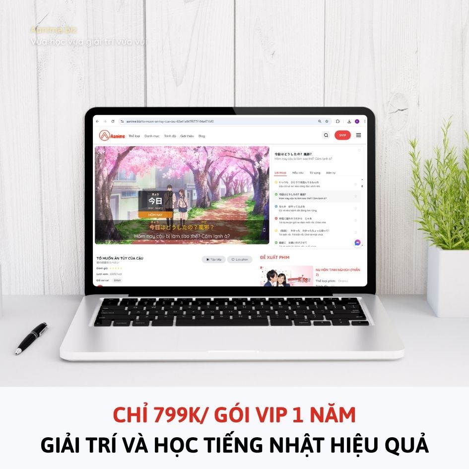 Aanime.biz là gì, Aanime.biz dùng để làm gì, Aanime là gì, Aanime học tiếng Nhật, Nền tảng Aanime.biz, Web học tiếng Nhật Aanime