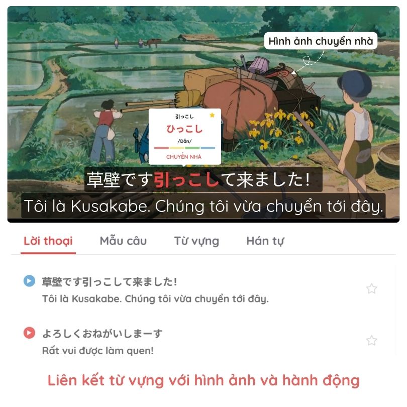 Aanime.biz là gì, Aanime.biz dùng để làm gì, Aanime là gì, Aanime học tiếng Nhật, Nền tảng Aanime.biz, Web học tiếng Nhật Aanime