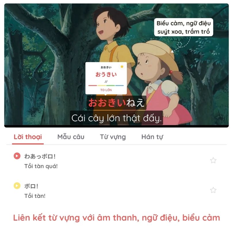 Aanime.biz là gì, Aanime.biz dùng để làm gì, Aanime là gì, Aanime học tiếng Nhật, Nền tảng Aanime.biz, Web học tiếng Nhật Aanime