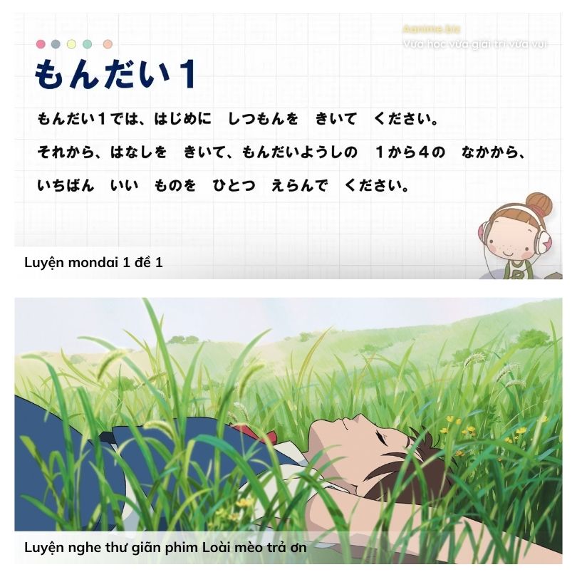 Aanime.biz là gì, Aanime.biz dùng để làm gì, Aanime là gì, Aanime học tiếng Nhật, Nền tảng Aanime.biz, Web học tiếng Nhật Aanime
