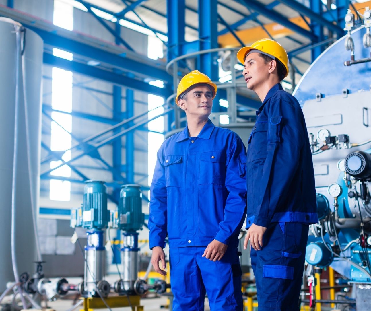 ng&agrave;nh tokutei n&agrave;o dễ thi đỗ nhất